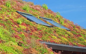 Johnson Fold living roof systems