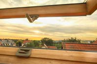 rated Johnson Fold roof window companies